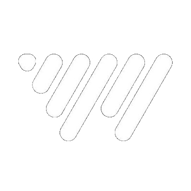 WebVisor Logo